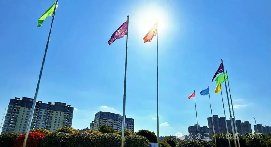 江苏宿迁八维学校校园文化建设景观上新啦