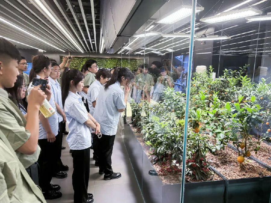 八维教育实训基地与联想科技蓝图双镜照亮前程