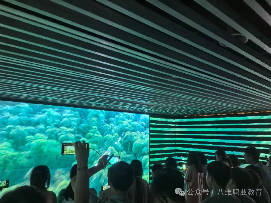 八维职业学校数字经济领域的领航学府铸就未来精英的创新摇篮