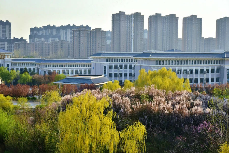 八维职业学校解锁文科优质新赛道