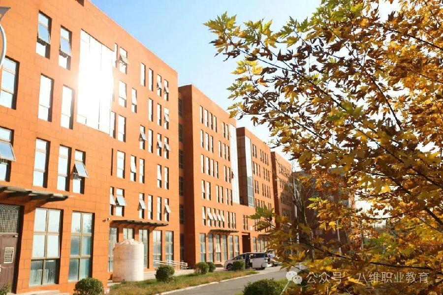 八维职业学校四地七校区深度测评揭秘优质就业背后的硬核实力